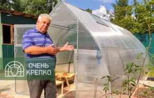 Теплица Каплевидная
