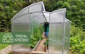 Теплица Миттлайдер