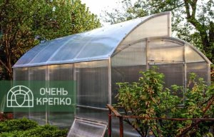 Теплица Миттлайдер 3,5м