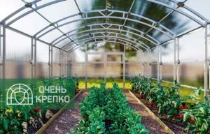 Теплица Сказка Титан 4м