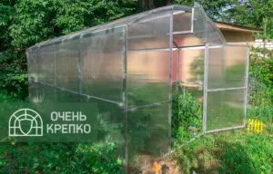 Теплица Квадратная