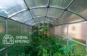 Теплица Квадратная 2,5м