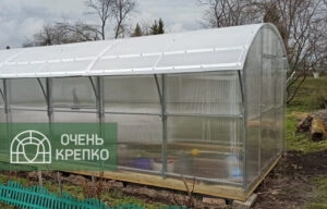 Теплица Гриб Люкс